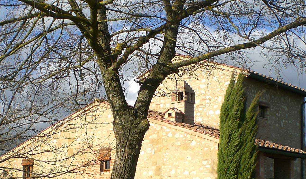 Edilpiù. Bioedilizia a Colle di Val d\'Elsa